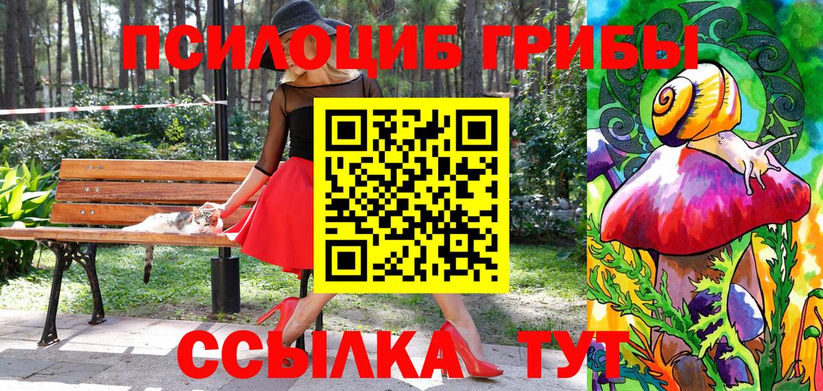 Новочеркасск  Псилоцибиновые грибы мицелий  Галлюциногенные грибы мухоморы  Вход с VPN 